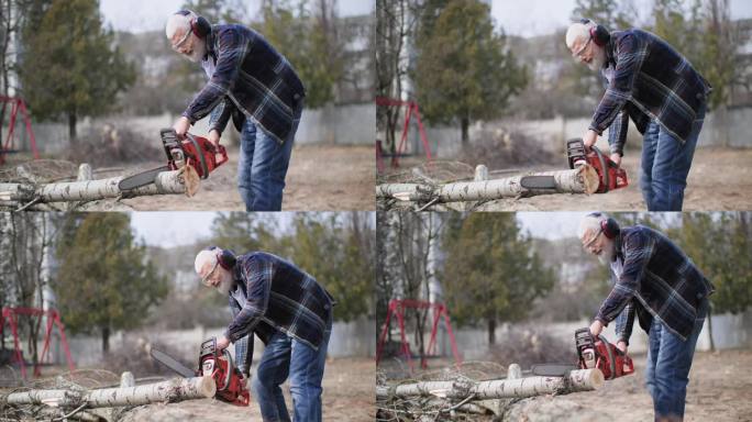 伐木工人，一个头发花白的健康老人，戴着耳机，手里拿着电锯，在户外的背景下把一根原木锯成树桩