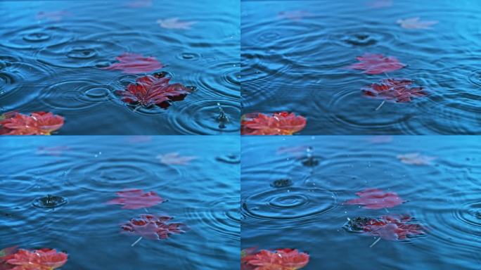 红叶漂浮在水面上，雨滴轻轻落下