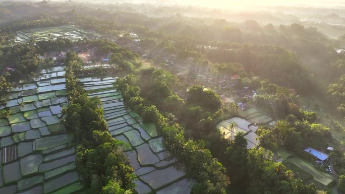 空中无人机拍摄的日出景象，位于印度尼西亚巴厘岛丛林中部的山地梯田。