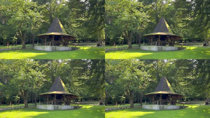 森林里一座帽子形状的木屋