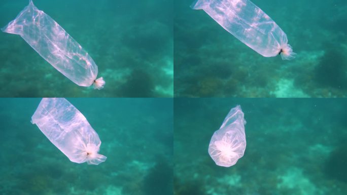 海洋中塑料袋和微塑料的环境问题