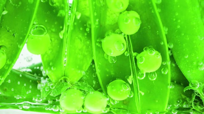 绿豌豆的果实泡在水里。Pisum一。