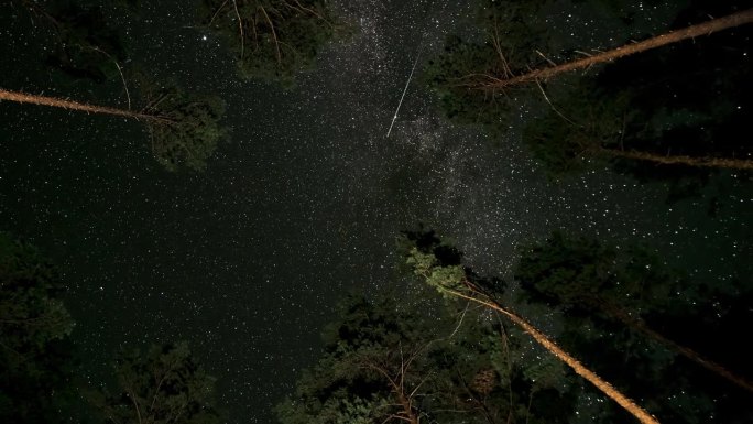 森林中夜空中移动的星星的时间差