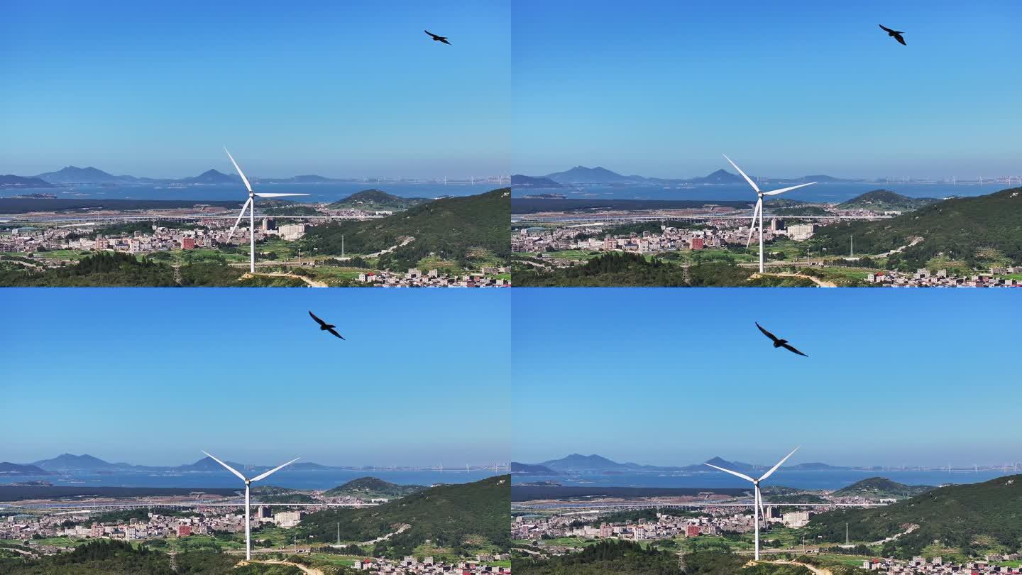 风力涡轮机:一只受惊的鸟