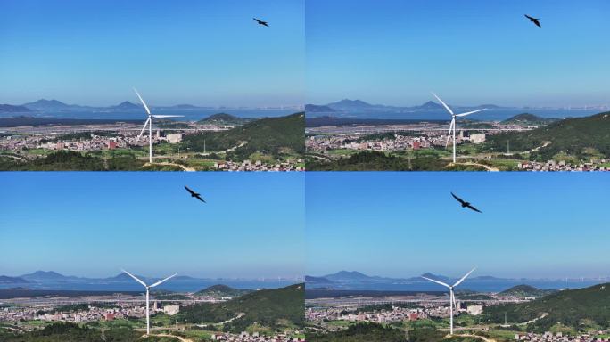 风力涡轮机:一只受惊的鸟