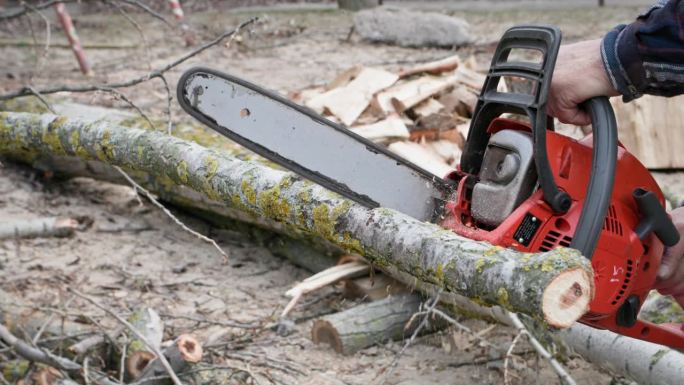 伐木工人，一个手里拿着电锯的男人在户外把老树枝锯成树桩，特写