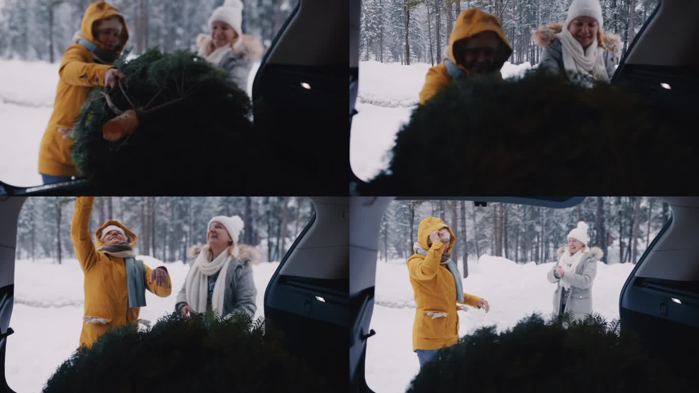 两个女人把一棵圣诞树装进汽车后备箱
