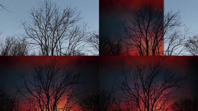火焰超自然天空上的视觉特效过渡树