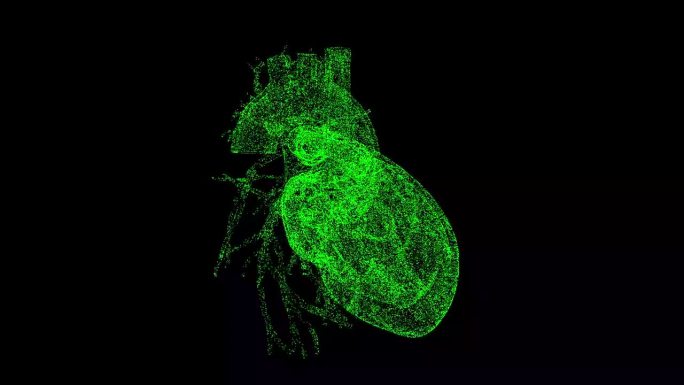 3D人类心脏在黑色bg上旋转。心血管系统。物体溶解了闪烁的微粒。科学的医学理念。用于标题，文本，演示
