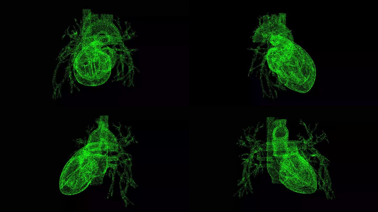 3D人类心脏在黑色bg上旋转。心血管系统。物体溶解了闪烁的微粒。科学的医学理念。用于标题，文本，演示