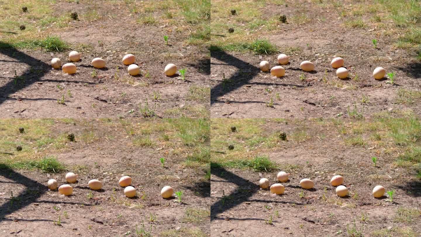 鸡蛋躺在地上的4k慢动作60fps