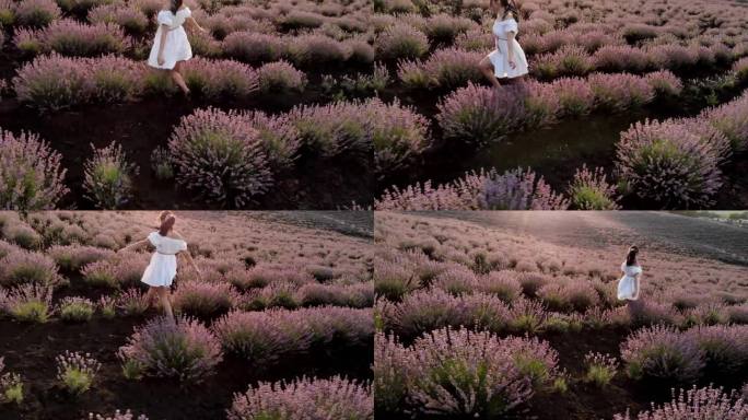 梦幻和鼓舞人心的航拍女子在日出时跑过薰衣草田。美丽的普罗旺斯自然和健康的生活方式4k