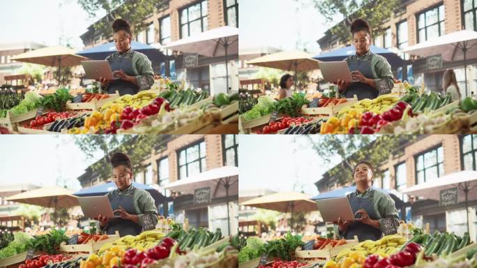 成功的女农民在笔记本电脑上工作，在网上与供应商联系，为她的有机街头摊贩的可持续水果和蔬菜计划未来的订