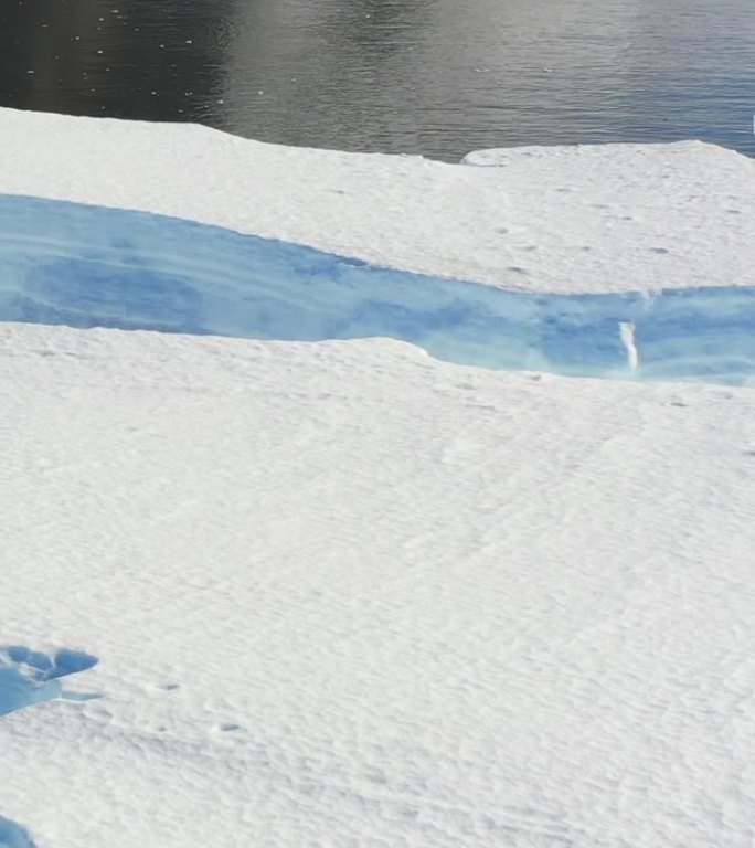 垂直视频巨大的冰块，冰山在南极的南极海洋。