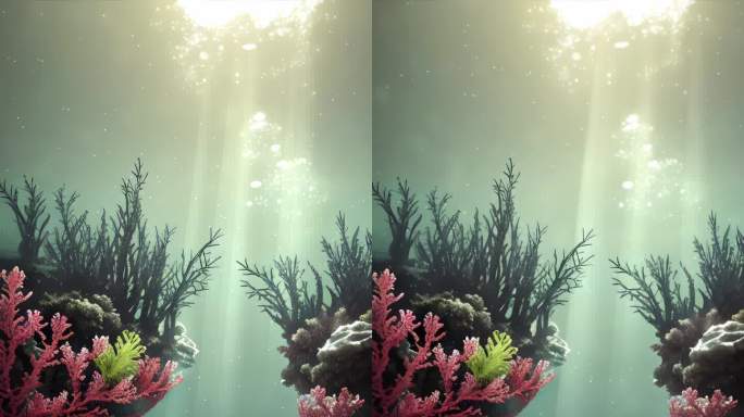 热带珊瑚礁的垂直水下场景