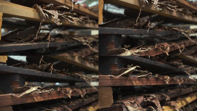 特写慢动作，干烟叶在一个特殊的多层木托盘上分层放置。工厂手工制作雪茄的过程