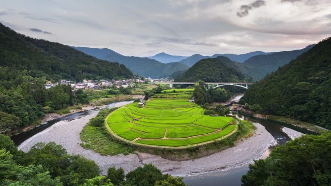 日本和歌山的荒岛梯田