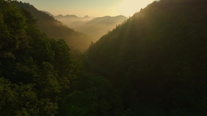 清晨的山谷高山美景日落山坡原始森林