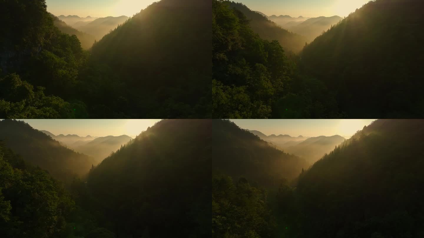 清晨的山谷高山美景日落山坡原始森林