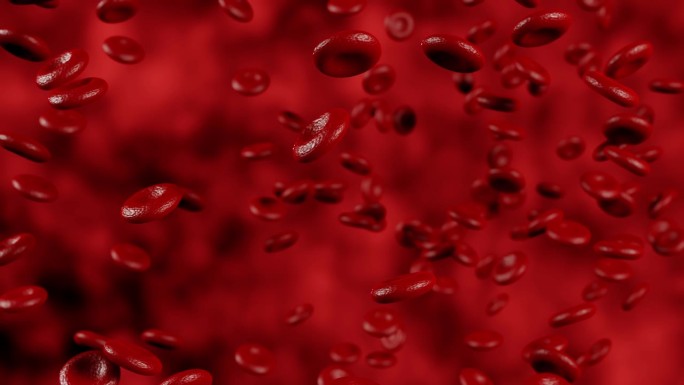 红血球在动脉的血流中移动。血红蛋白细胞的三维动画。红细胞在血液循环系统中的血管流动的医学三维动画。3