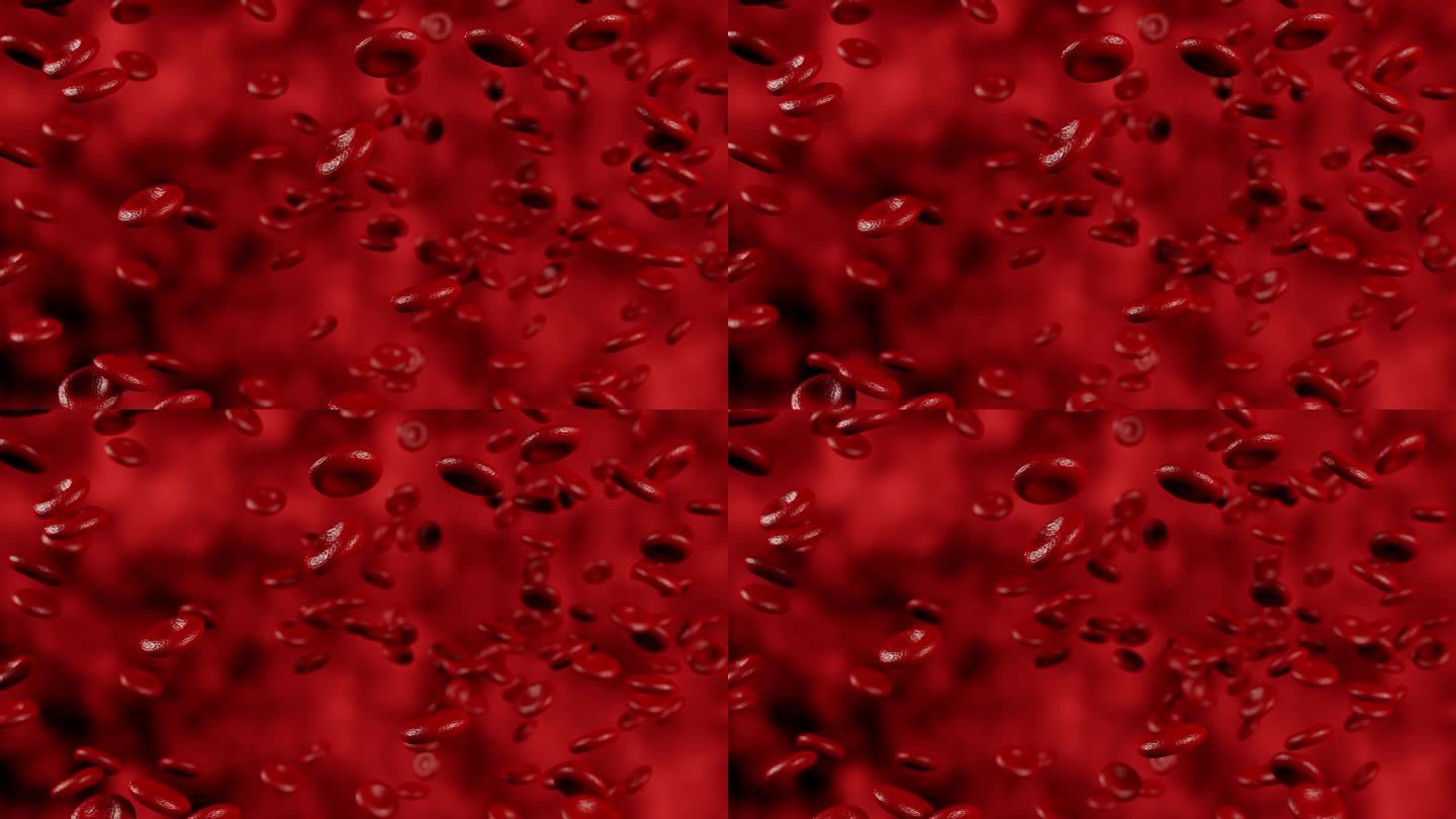 红血球在动脉的血流中移动。血红蛋白细胞的三维动画。红细胞在血液循环系统中的血管流动的医学三维动画。3