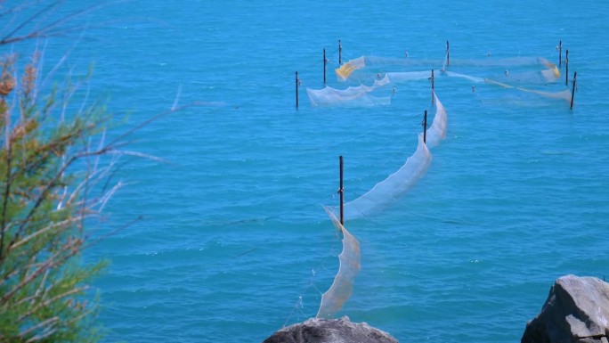 在海上安装渔网。