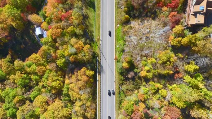 从北卡罗莱纳州的国家高速公路上俯瞰，穿过阿巴拉契亚山脉，黄色的秋天树林和快速移动的卡车和汽车。州际运