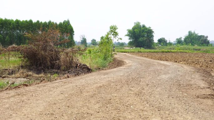 乡村公路，通往农场和花园的乡村公路