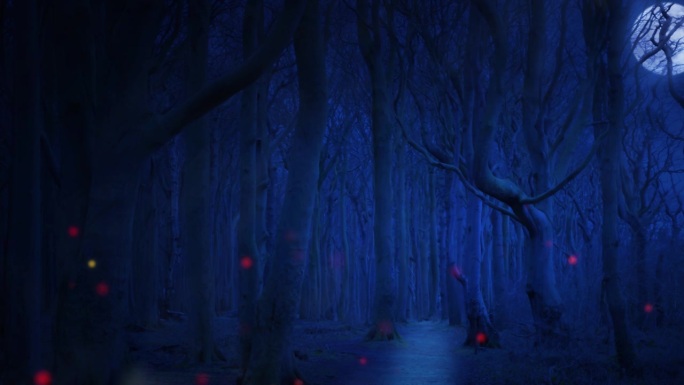 鬼森林与雾和明亮的幽灵光动画在满月之夜，深蓝色的自然背景与复制空间万圣节或元宵节或月光派对