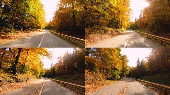 秋天开车穿过色彩斑斓的森林