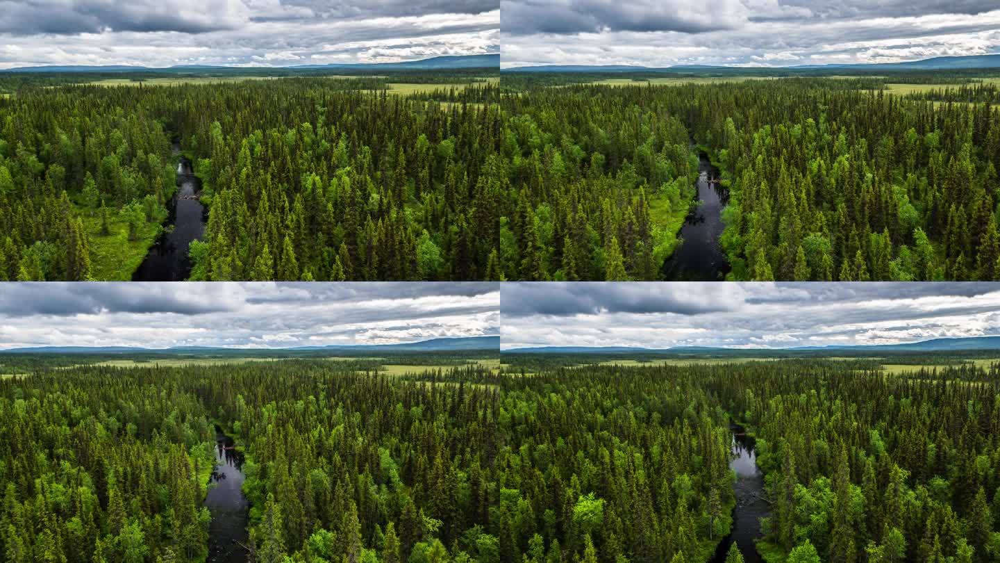 瑞典的北方森林瑞典的北方森林