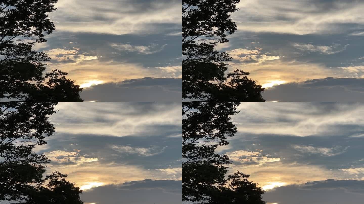 黄昏复制空间的天空和云，树在风中摇曳的左边的框架，创造一个完美的构图。广阔的天空和云层为添加广告和促