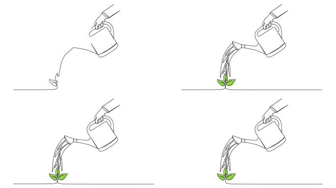 动画单线绘制的人用喷壶浇灌小绿色植物