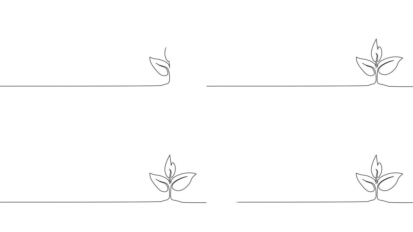 动画单线绘制的年轻植物