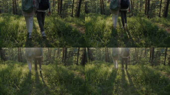 低角度的男人和女人走在草地上的绿色森林探索自然