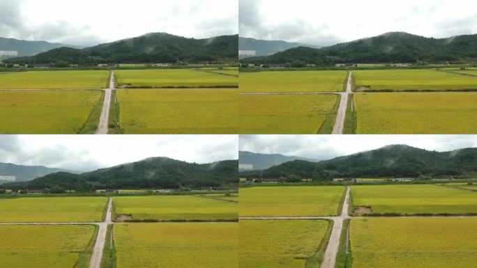 韩国农村地区的鸟瞰图，背景是稻田和山脉