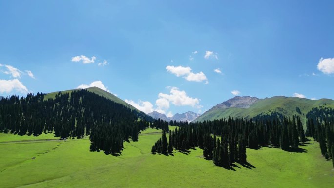航拍新疆那拉提草原、森林和雪山