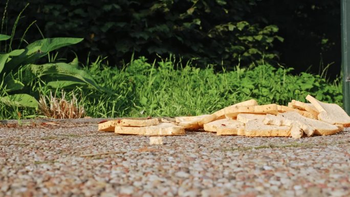 被丢弃的食物片和可食用的面包条被扔在街道人行道上