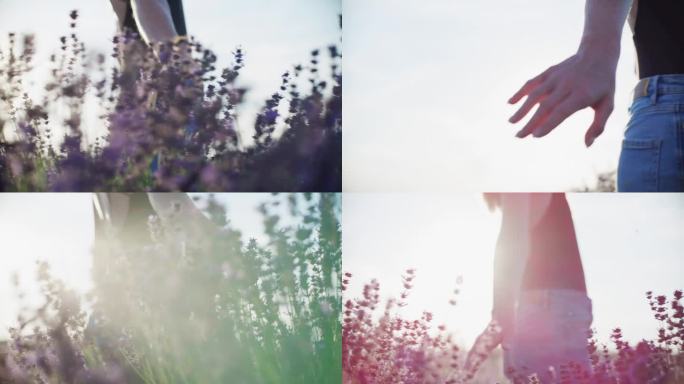 一个女人走在薰衣草地里，抚摸着那些花。