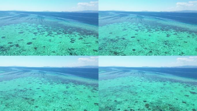 海洋中丰富的珊瑚礁的空中向后