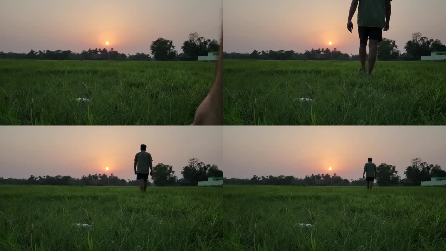剪影正面视图男子走在田野外面。