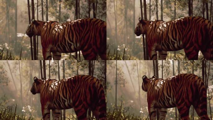 一只老虎被困在竹林里，嗅着，听着猎物的动静