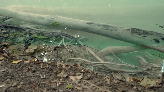 瀑布自然景树河森林海氧吧瀑布溪流水