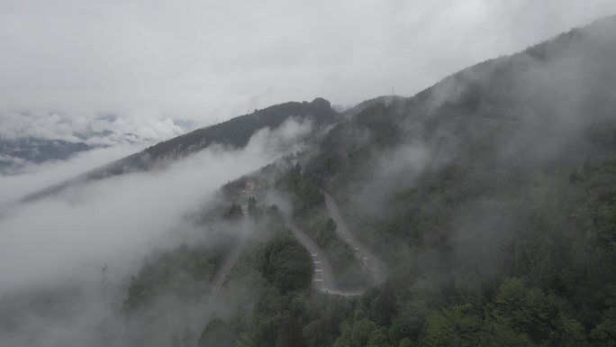 云雾里的崎岖公路
