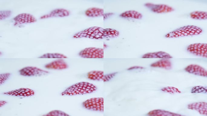 牛奶和草莓的微距镜头