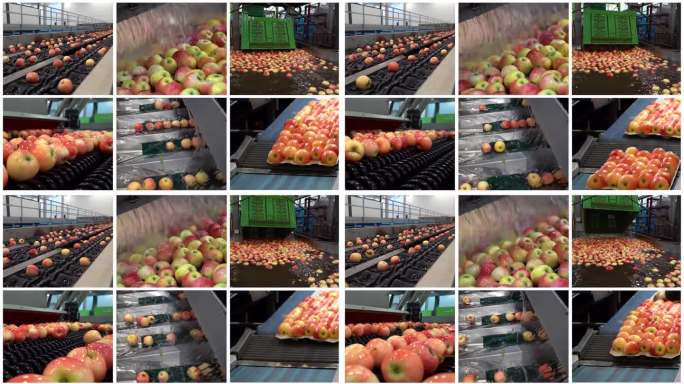 苹果在进入市场之前在水果包装厂的加工-概念多屏视频