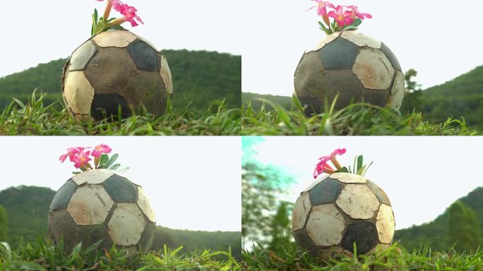 草地上的足球