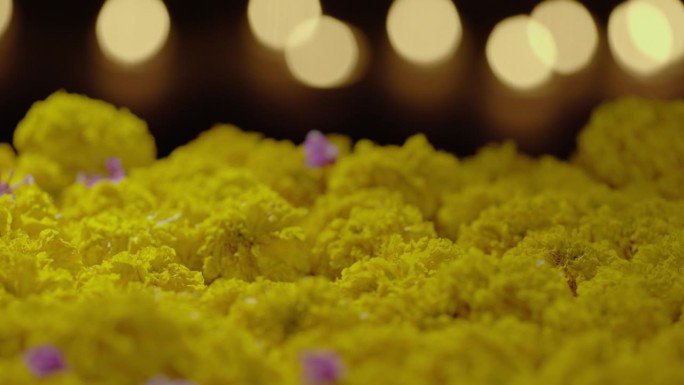 金盏花Rangoli在排灯节庆祝活动期间，排灯节或屠妖节是印度最大和最重要的节日。