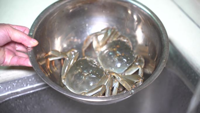 刷螃蟹洗螃蟹大闸蟹