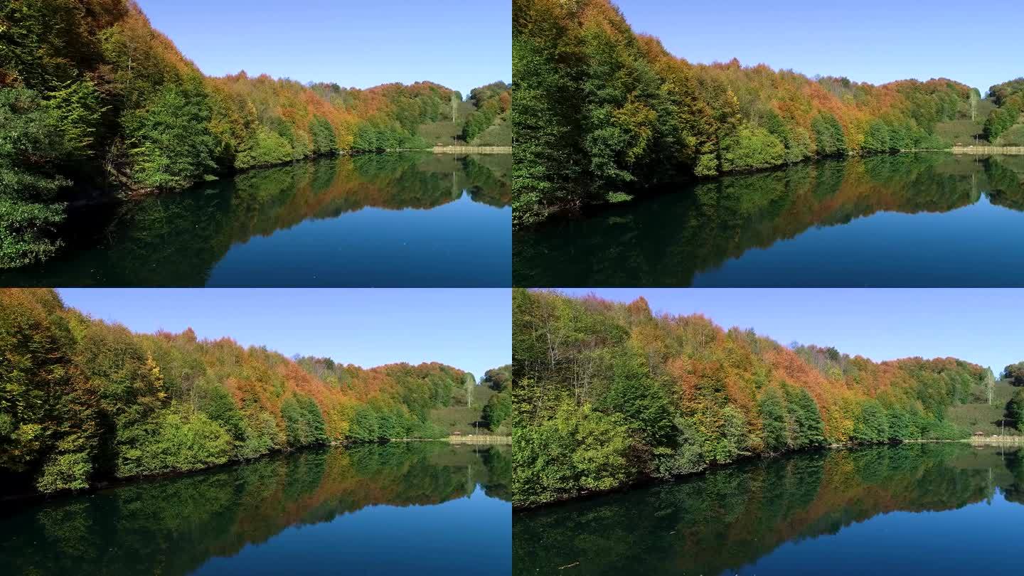森林和湖泊的航拍照片